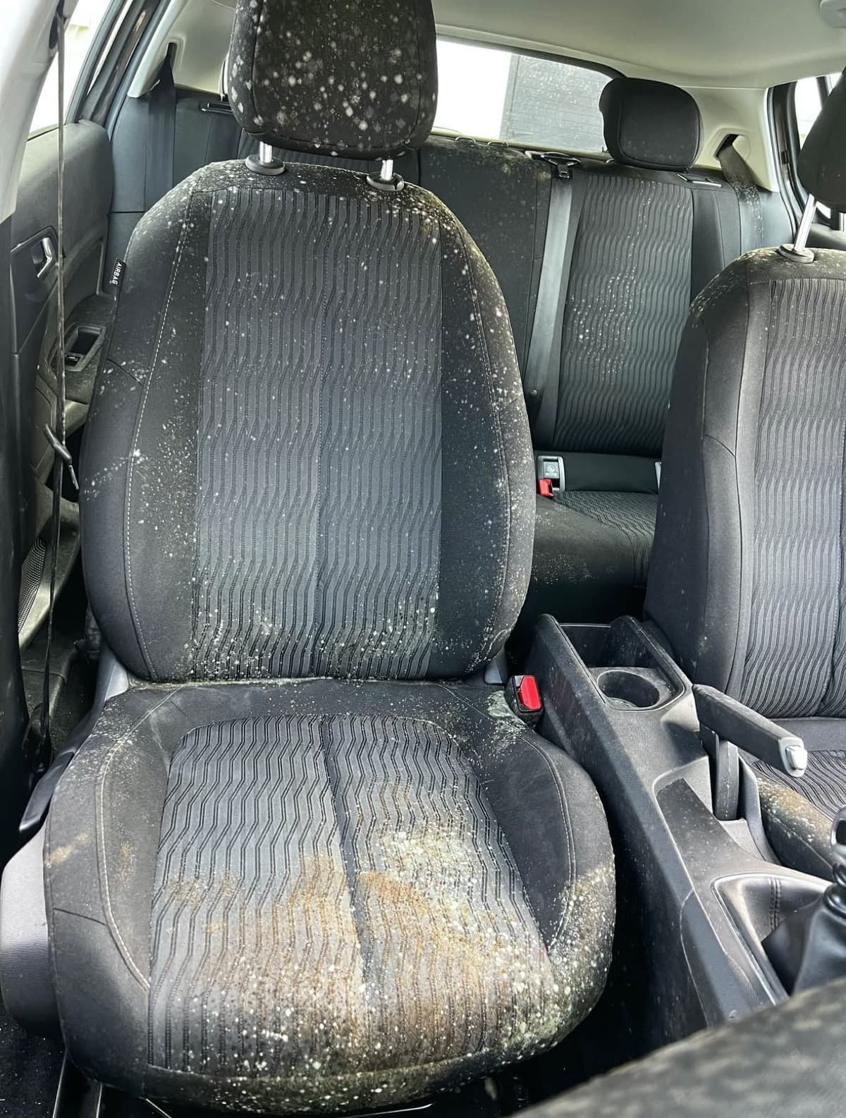 Sièges textile détachés — Avant