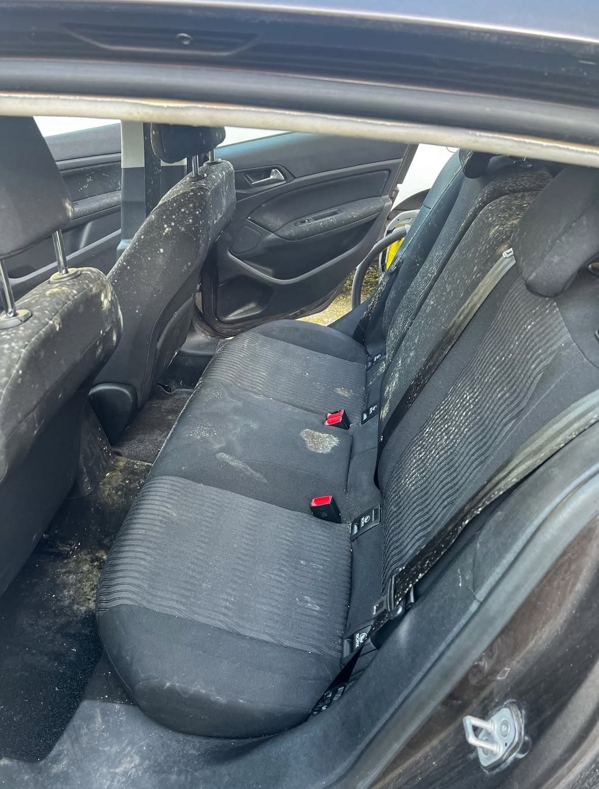 Shampoing banquette arrière Peugeot 308 à Bruz à Rennes — Avant