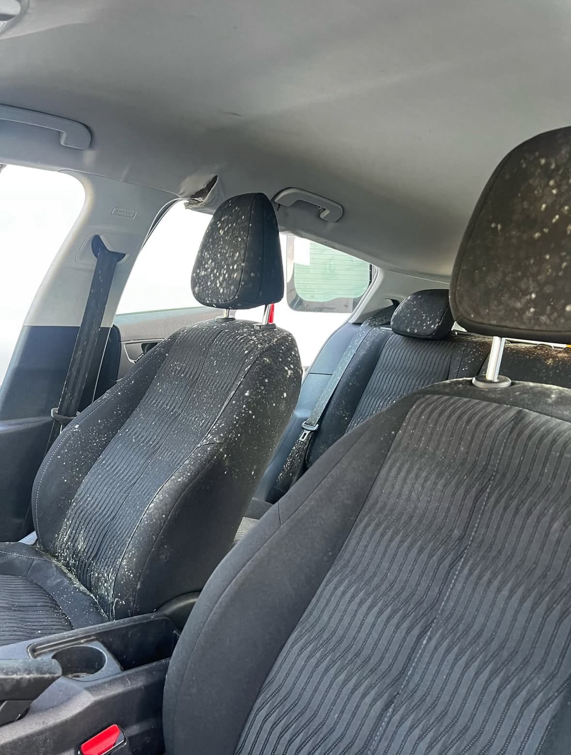 Traitement anti-moisissure sièges à Mont-Saint-Aignan à Rouen — Avant