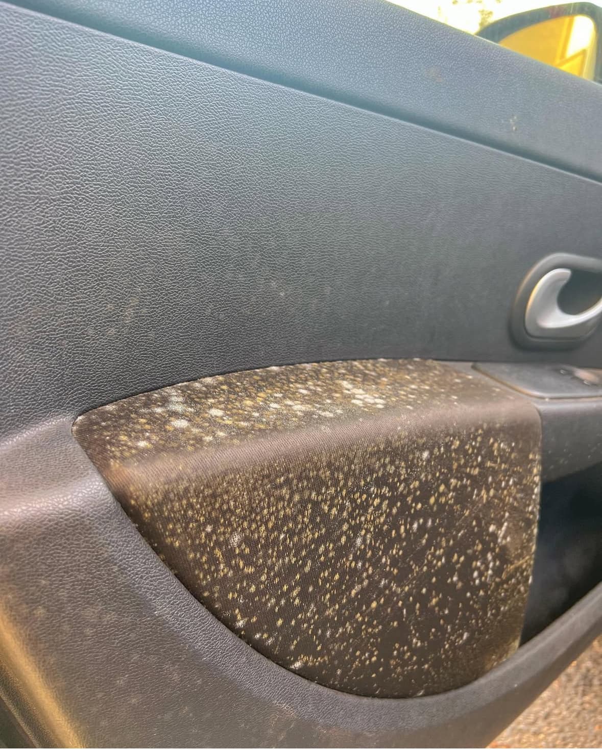 Traitement anti-moisissures portière à Hyères à Toulon — Avant