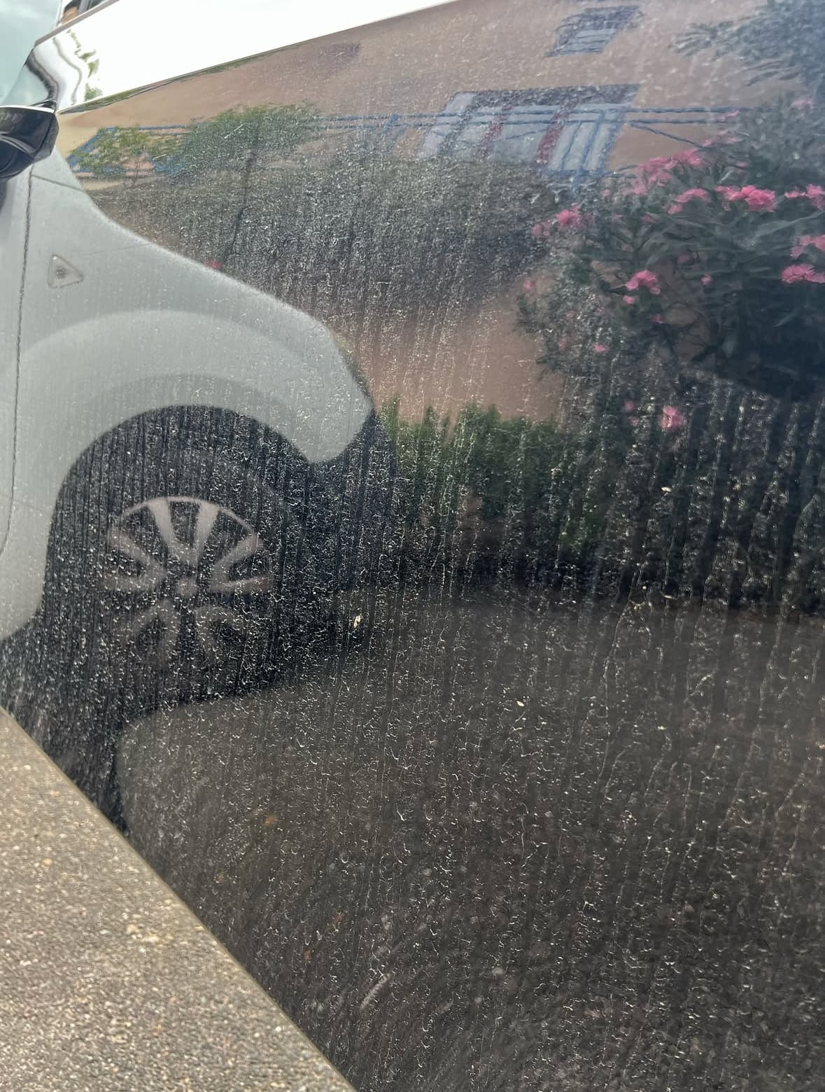 Lavage extérieur carrosserie à Ollioules à Toulon — Avant